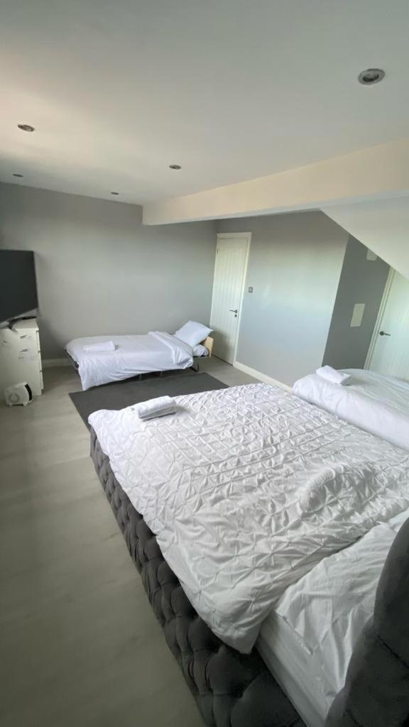 Large House Close To Greenwich 엘섬 외부 사진